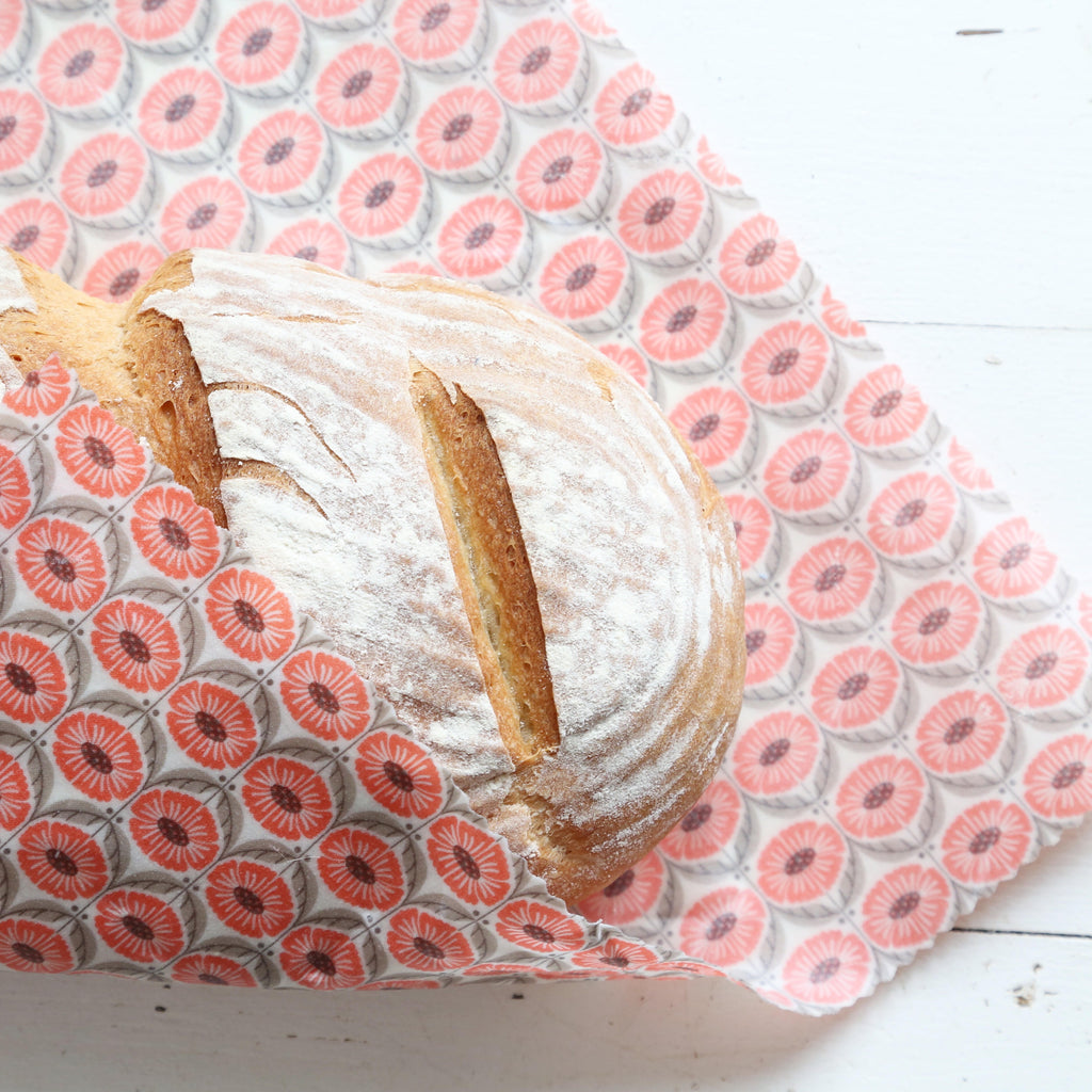 Packing Waste-Free Lunches!