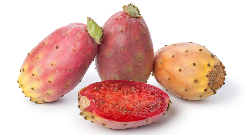 7 Things You Didn’t Know Prickly Pear Seed Oil Could Do For Your Skin!