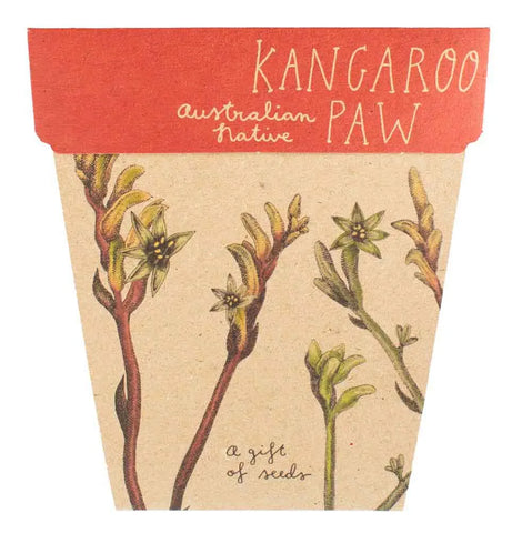 Sow 'n Sow - A Gift Of Seeds - Kangaroo Paw