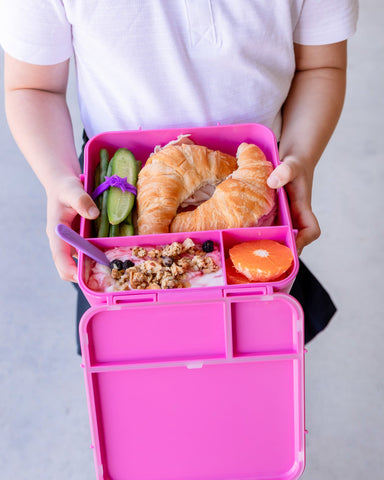 MontiiCo Bento Plus - Calypso