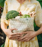 Superbee Beeswax Bag - Medium Hexagonia