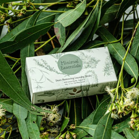 Minimal Basics Laundry Stain Removing Sticks - 2 Pack (60g)